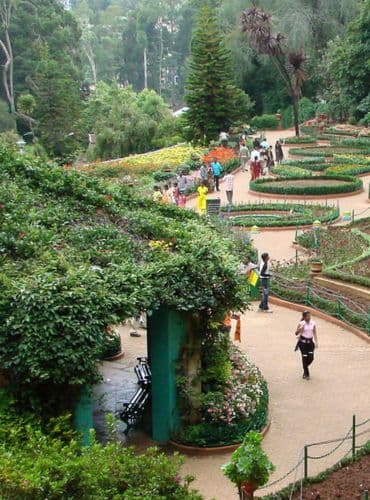 Mysore to Coorg One Day Trip