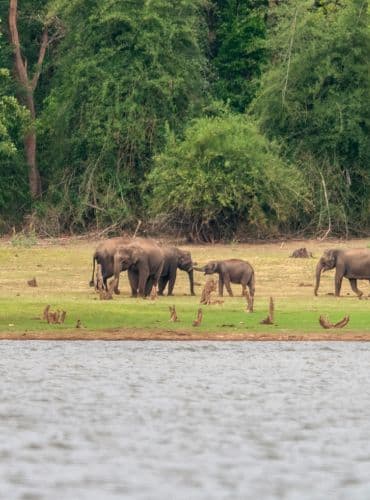 Tirupati Package from Mysore (2 Days)